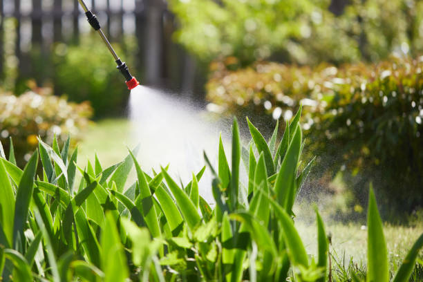 24/7 Emergency Mosquito Control experts in Bisbee, AZ