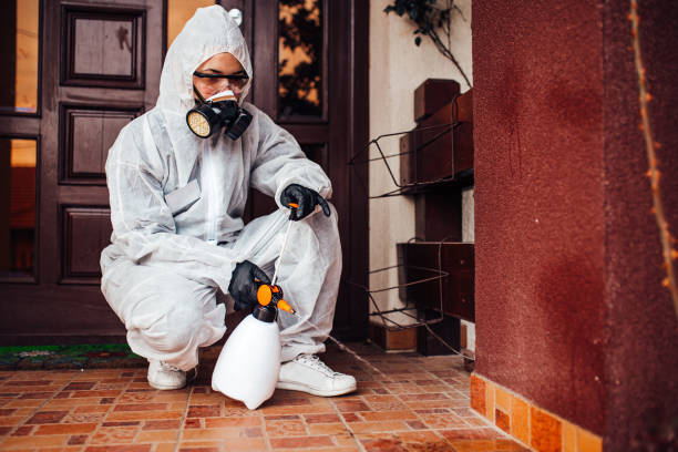 Reliable Mosquito Control contractor in Bisbee, AZ by Show Me Pest Control